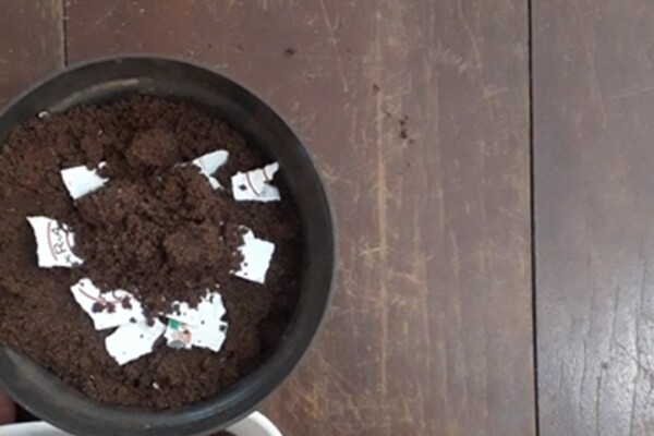 Papel Semente Papel Semente